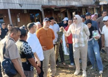 Bupati Tanjab Timur Dillah Hich Tinjau Jembatan Ambruk di Kecamatan Sabak Timur