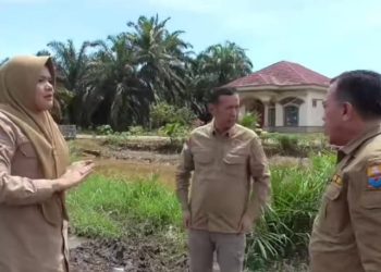 Bupati dan Wakil Bupati Tanjab Timur Dampingi Gubernur Jambi Meninjau Jalan Rusak di Desa Lambur II
