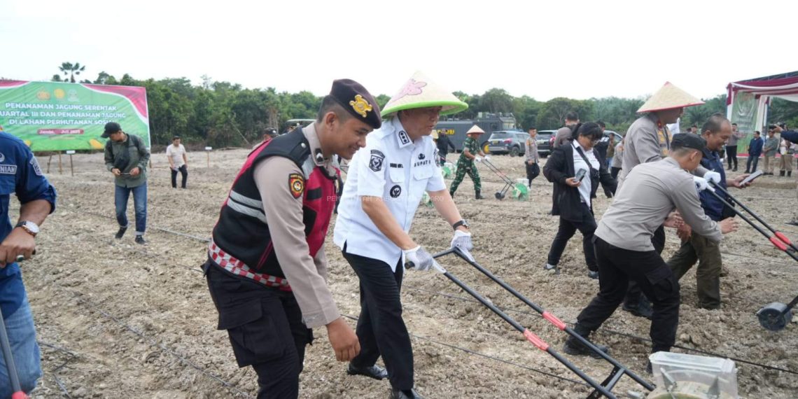 Bupati Muaro Jambi Dr. Bambang Bayu Suseno,SP.,MM, M.Si Mengikuti Penanaman Jagung Kuartal Ke-III Secara Serentak