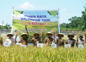 Bupati Muaro Jambi Bambang Bayu Suseno Melakukan Panen Raya Perdana Padi Kelompok Tani Jaya Bersama Desa Pudak Kecamatan Kumpeh Ulu