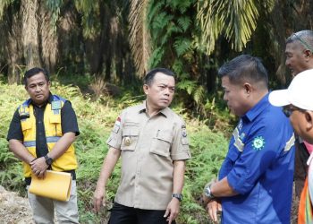 Kadis PUPR Provinsi Jambi Dampingi Gubernur Tinjau Proyek Pelebaran Jalan Ness