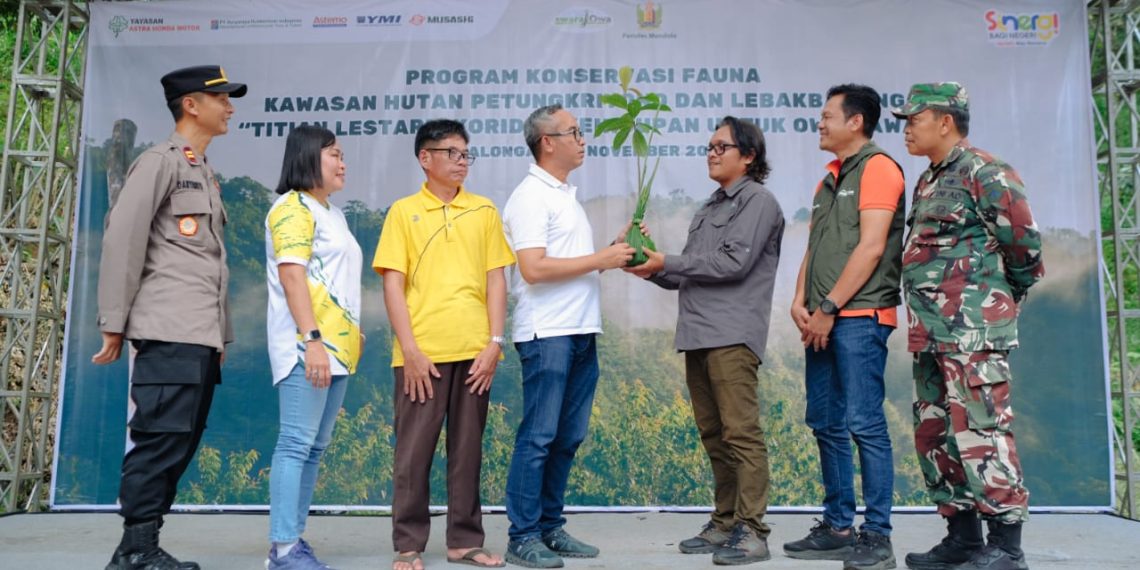 Yayasan AHM Kolaborasi dengan Masyarakat Pekalongan Lestarikan Satwa Owa Jawa